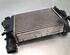 Intercooler NISSAN QASHQAI II SUV (J11, J11_), RENAULT KADJAR (HA_, HL_)