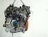 Bare Engine RENAULT MEGANE III Grandtour (KZ0/1)