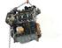 Motor kaal RENAULT KANGOO Express (FW0/1_)