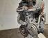 Motor kaal HONDA JAZZ III (GE_, GG_, GP_, ZA_)