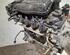 Motor kaal HONDA JAZZ III (GE_, GG_, GP_, ZA_)