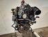 Motor kaal RENAULT CLIO III Grandtour (KR0/1_), RENAULT CLIO IV Grandtour (KH_)