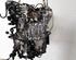 Bare Engine RENAULT CLIO V (B7_)