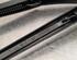 Wiper Arm RENAULT CLIO V (B7_)