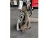 Axle ALFA ROMEO MITO (955_)