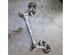 Axle VW POLO (9N_), VW POLO Saloon (9A4, 9A2, 9N2, 9A6)