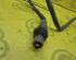 Lambda Sensor / NOx Sensor RENAULT MASTER III Van (FV)