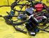 Wiring Harness RENAULT Captur I (H5, J5), RENAULT Clio IV (BH)