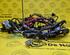 Wiring Harness RENAULT Captur I (H5, J5), RENAULT Clio IV (BH)