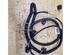 Wiring Harness RENAULT Zoe (BFM)