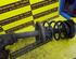 Suspension Strut RENAULT Megane I Coach (DA0/1)