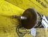 Suspension Strut VW Golf III (1H1)