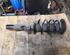 Suspension Strut FORD Galaxy (WA6), FORD S-Max (WA6)