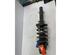 Suspension Strut AUDI A3 (8L1)