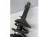 Suspension Strut AUDI A3 (8L1)