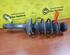 Shock Absorber VW Golf IV (1J1)