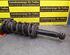 Shock Absorber NISSAN Almera II (N16)