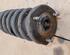 Shock Absorber MAZDA 6 Station Wagon (GY)