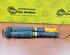 Shock Absorber FIAT Punto (188)