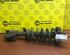 Shock Absorber OPEL Vivaro Kasten (F7)