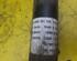 Shock Absorber FIAT Croma (194)