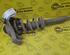 Shock Absorber AUDI A6 Avant (4F5, C6)