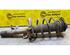 Shock Absorber FORD Focus III (--)