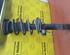 Shock Absorber SEAT Altea (5P1), SEAT Altea XL (5P5, 5P8), SEAT Toledo III (5P2)