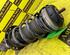 Shock Absorber ALFA ROMEO Mito (955)