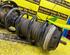 Shock Absorber ALFA ROMEO Mito (955)