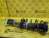 Shock Absorber FORD Fiesta VI (CB1, CCN)