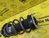 Shock Absorber FORD Fiesta VI (CB1, CCN)