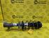 Shock Absorber FORD Fiesta VI (CB1, CCN)