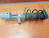 Shock Absorber RENAULT Twingo III (BCM)