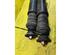 Shock Absorber RENAULT Clio II (BB, CB), RENAULT Clio III (BR0/1, CR0/1)