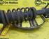 Shock Absorber SUZUKI Alto (EF)