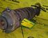 Shock Absorber SUZUKI Alto (EF)