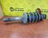 Shock Absorber VW Golf IV (1J1)