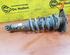 Shock Absorber MINI Mini Cabriolet (R52)