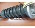 Shock Absorber BMW 5er (F90, G30)