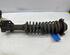 Shock Absorber DAEWOO Matiz (M100, M150), CHEVROLET Matiz (M200, M250)