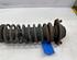 Shock Absorber DAEWOO Matiz (M100, M150), CHEVROLET Matiz (M200, M250)