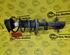 Shock Absorber RENAULT CLIO III (BR0/1, CR0/1), RENAULT CLIO IV (BH_)