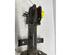 Shock Absorber RENAULT CLIO III (BR0/1, CR0/1), RENAULT CLIO IV (BH_)