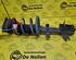 Shock Absorber RENAULT CLIO III (BR0/1, CR0/1), RENAULT CLIO IV (BH_)