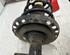 Shock Absorber RENAULT CLIO III (BR0/1, CR0/1), RENAULT CLIO IV (BH_)