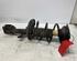 Shock Absorber RENAULT CLIO III (BR0/1, CR0/1), RENAULT CLIO IV (BH_)