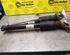 Shock Absorber BMW 3 Gran Turismo (F34)