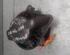 Interior Blower Motor RENAULT Megane Scenic (JA0/1)