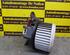 Interior Blower Motor FIAT Punto (188)